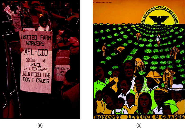 Equal Protection for Other Groups