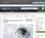 Animals at the Extremes: Polar Biology