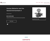 Human Behavior and the Social Environment II