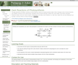 Dark Reactions of Photosynthesis
