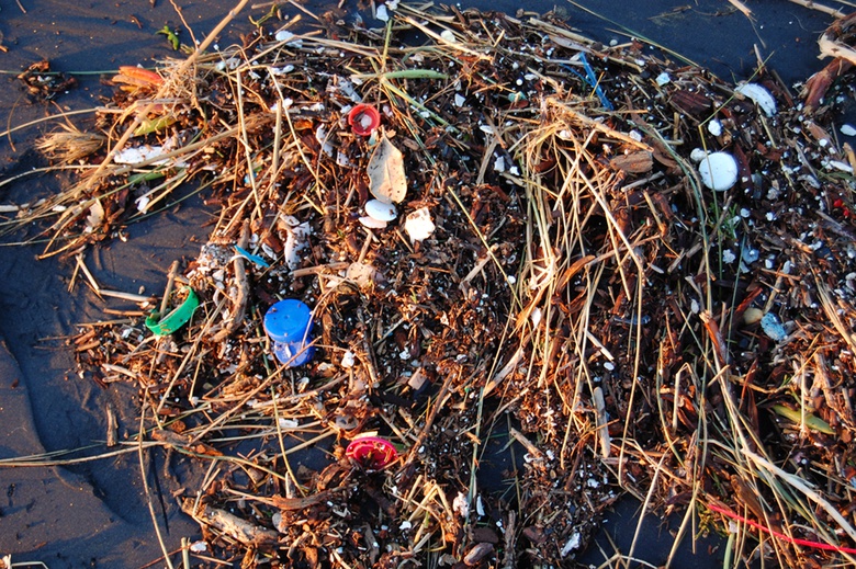 The Environment and Society