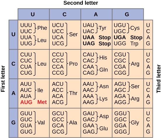 The Genetic Code