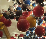 Biology, The Chemistry of Life, The Chemical Foundation of Life, Introduction