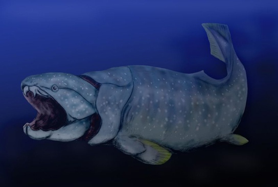 Fishes