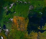 Biology, Ecology, Conservation Biology and Biodiversity, Introduction