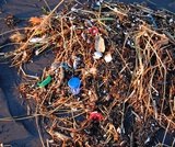 Introduction to Sociology 2e, Population, Urbanization, and the Environment, The Environment and Society