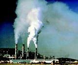 American Government, The Outputs of Government, Domestic Policy, Categorizing Public Policy