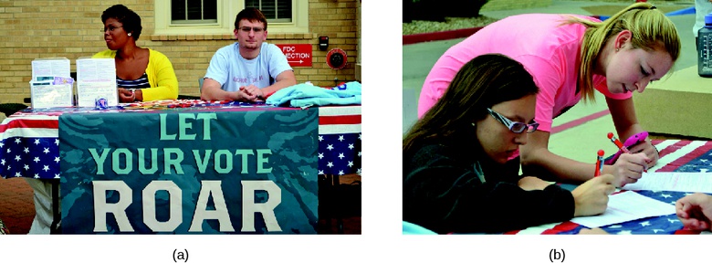 Voter Registration