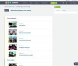 American Government, Individual Agency and Action