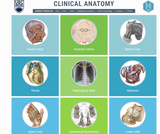 Clinical Anatomy