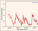Biology, Ecology, Conservation Biology and Biodiversity, Threats to Biodiversity